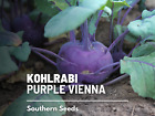 Kohlrabi, Purple Vienna - 100 Seeds - Heirloom - Non GMO