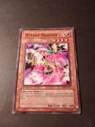 Yu-Gi-Oh!  Mirage Dragon 1st Edition Common Card RDS-EN027 LP