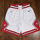 Nike Chicago Bulls Swingman Association Edition Dri-fit White Shorts