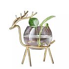 Glass Planter Holder Deer |Glass Pot| Glass Flower Pot| Glass Flower Round Vase