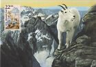 Mountain Goat Fauna World Wildlife Canada USA Mint Washington Maxi Card FDC 1987