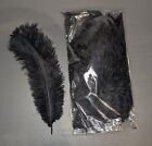20 pcs Natural Black Ostrich Feathers 10-12 inch Bulk for DIY H