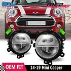 For 2014 2015-2019 Mini Cooper Fog Lights Bumper Driving 14-19 Lamps w/ Bulbs (For: Mini)