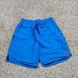 Nike Swim Trunks Mens Small Blue Lined Bathing Suit Swimming Outdoors Adult A5