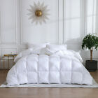 SNOWMAN All Season Comforter Soft Goose Down Comforter Queen Size 100%Cotton