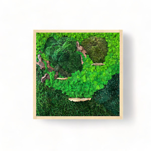 Moss Wall Art Frame 16x16