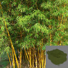 Organic Bamboo (Bambusa Vulgaris) Dried Leaf Powder Herbs (1 oz - 16 oz)