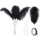 Ballinger Black Ostrich Feathers Bulk - Making Kit 10Pcs 28inch Large Ostrich Fe