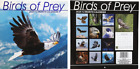 Birds of Prey 2024 Wall Calendar 12