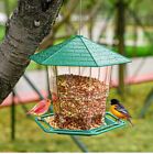 New ListingWild Bird Feeder Squirrel Proof Outdoor Hanging Garden Yard Birds Lover Durable