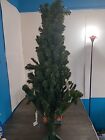 Christmas Tree 4 Ft Pre-lit Clear Lights  Artificial Oxford Pine