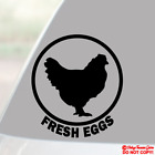 FRESH EGGS Vinyl Decal Sticker Window Crate Cooler Chicken Farm Farmers Market