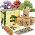 Bonsai Growing Kit - Complete Starter 5 Types of Trees, Culture Medium (Black)