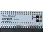 AmSider IDE port relocator for Amiga 600 / 1200