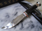 Case XX Fixed Blade Hunter Knife Black Buffalo Horn Skinner CA17915 BH23-5 USA