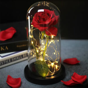 Beauty and The Beast Rose LED Enchanted Galaxy Rose Eternal Flower Lighted Décor
