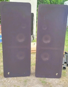 RARE Infinity Floor standing RS III RS 3 Oak speakers