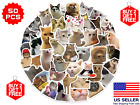 50Pcs Waterproof MEME Cat Stickers Cute Cool Funny Cat Lovers Teens Kids Laptop
