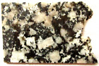 Granite  Slab  - Black - White - Quartz Flecks - 90 Grams - Michigan