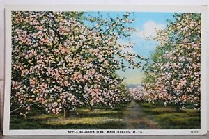 West Virginia WV Martinsburg Apple Blossom Time Postcard Old Vintage Card View