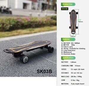 Electric Skateboard with Hand Remote