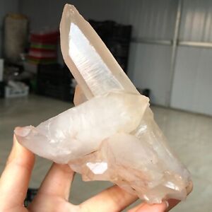 530g A+++ Natural Himalaya Quartz Crystal Cluster Mineral specimen Healing N129