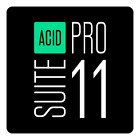 MAGIX Acid Pro 11 Suite - [Download]