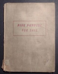 Five Puppies For Sale by Esther Brann