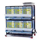 Partridge Cage - 2 Layer (Easy to Clean, Hygienic & Effective Breeding)