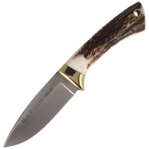 Muela Colibri Hunting Knife Deer Stag, Satin X50CrMoV15 (COL-7A)