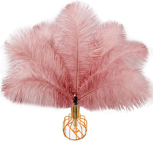 20Pcs Dirty Pink Ostrich Feathers Natural Bulk 10-12Inch 25-30Cm for Wedding Par