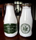 New Listing2) 1940-50s STATE UNIVERSITY OF  NEW YORK dairy SUNY milk 1/2pint bottle COLLEGE