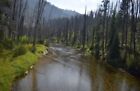 🇺🇸20 Acre Gold Mining Placer Claim on Lick Creek, Idaho 🇺🇸Valley County🇺🇸