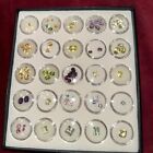 New 65+ Loose Mixed Gemstones Various Colors & Shapes Free Shipping Estate Lot