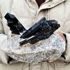 7.4LB Top natural black tourmaline quartz crystal mineral specimen