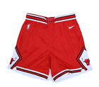 Chicago Bulls Nike Men's NBA Red Swingman Shorts Icon Edition Size 2XL 46 NWT