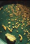 3 Ounces of IDAHO Guaranteed Gold Panning Paydirt | Pay dirt Concentrates Nugget