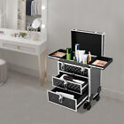 Professional Rolling Makeup Case Train Case Cosmetic Trolley Cosmetic Organizer