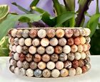 Wholesale 6 Pcs Natural Fossil Coral 6mm 7.5” Crystal Healing Stretch Bracelet