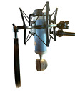 Blue Microphones Bluebird Condenser whit mount and windscreen