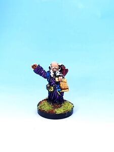 Wizard w/ Familiar painted mini miniatures for RPGs like D&D Grenadier