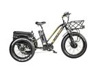 New Listing✨️Fat Tire 3 Wheel Electric  Trike Tricycle 750w 48v 17AH Samsung Battery -bike✨