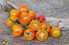 30 ISIS CANDY CHERRY TOMATO SEEDS ~ heirloomseedguy ~ 2024 ~ NON-GMO