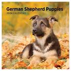 2024 German Shepherd Puppies Monthly Wall Calendar by Bright Day 12 x 12 Inch...