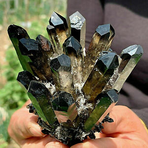 1PC New Find black Phantom Quartz Crystal Cluster Mineral Specimen Healing Gift