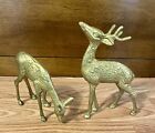 Pair of 2 Vintage Solid Brass Deer Set Buck & Doe Decor Made In Taiwan