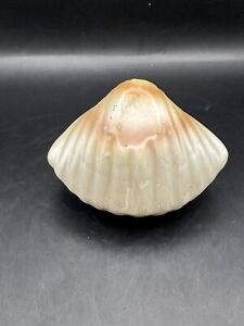 New ListingClam Shell Hinged Trinket Box-ceramic