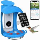 BirdDock Upgraded Hummingbird Smart Bird Feeder Camera W. Solar Panel APP AI