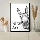 Nice Ass Donkey Funny Restroom Humor Canvas Poster Wall Art