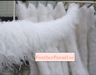 Snow White Ostrich Feather  Boa 6 ply 60g Wedding Party Scarf